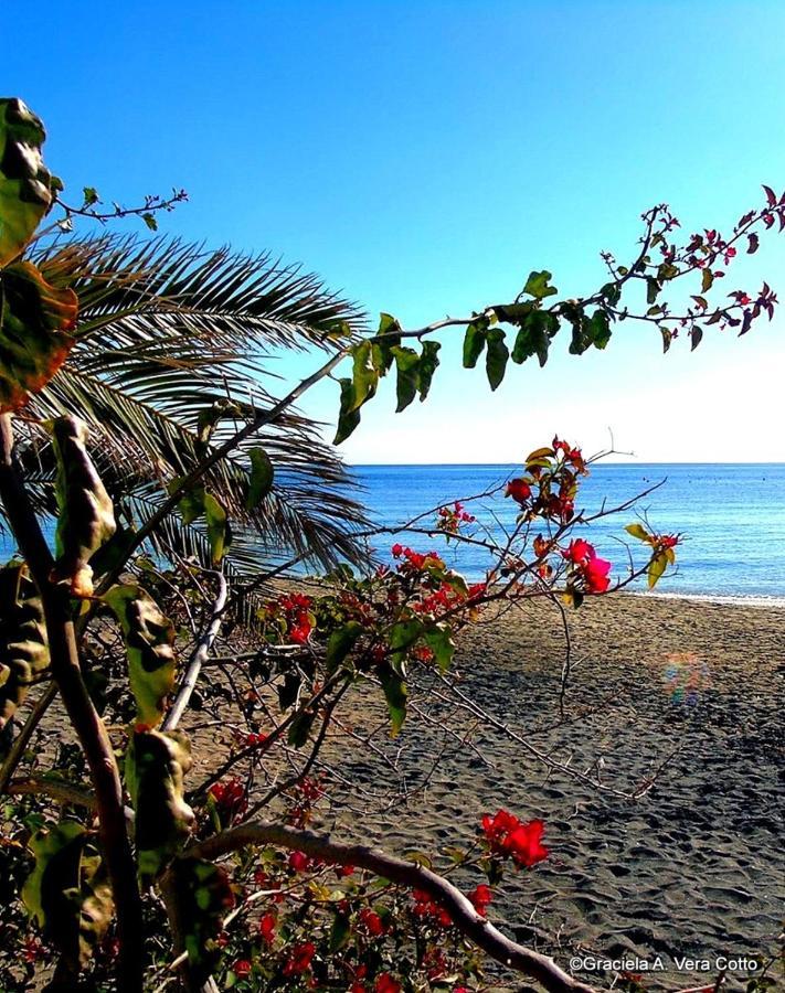 La Palmera. El Amanecer En El Parque Natural Agua Amarga  Exteriér fotografie